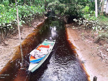 COMUNIDADE MARIA PETRONÍLIA CONQUISTA RECONHECIMENTO DA UNIÃO E AVANÇA NA REGULARIZAÇÃO FUNDIÁRIA