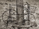 Bitty Bike