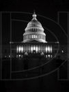 Capitol Night
