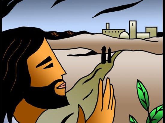 July Newsletter 2024