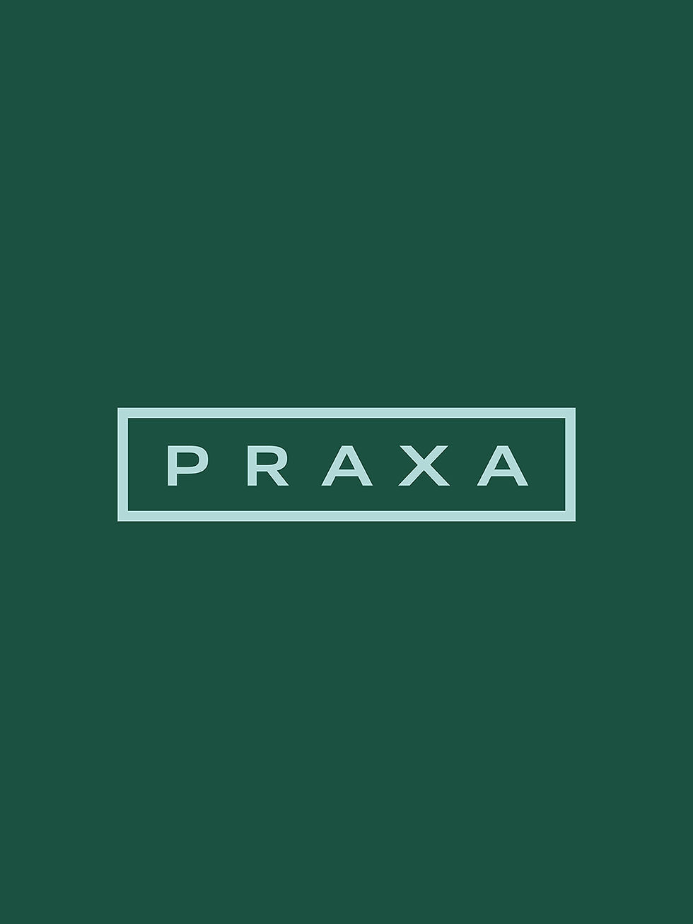 Praxa banner