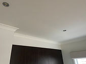 IMG_7504.jpeg