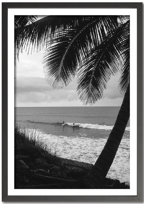 Black and white ocean view with palm tree Rincon Backyard. Surfers in the distance.