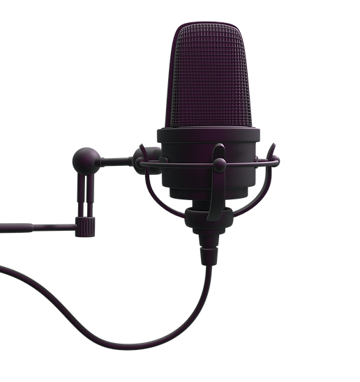 DeJuanCarlos Music. Microphone