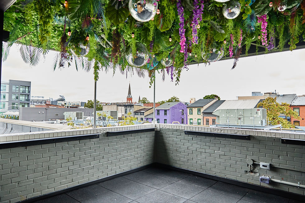 Private Party Venue Federal Hill Baltimore: Where Celebrations Come to Life