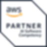 AWS Partner badge for AI Software Competency