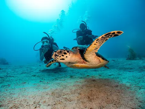 5 Razones para Certificarte como Open Water Diver
