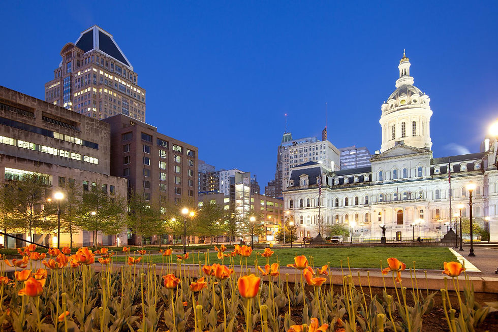 City skyline at night with a domed building and flowers