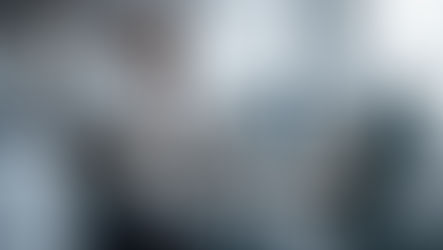 Risk Management Strategies for Government Technology Solutions