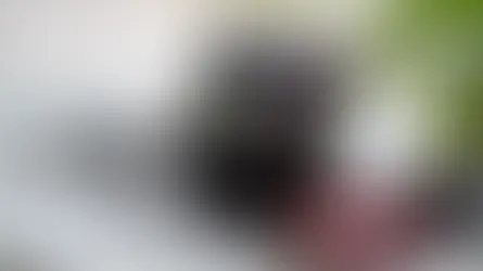 Why Sports Agents Need a Professional Website — and How Alekos Designs™ Helps You Stand Out