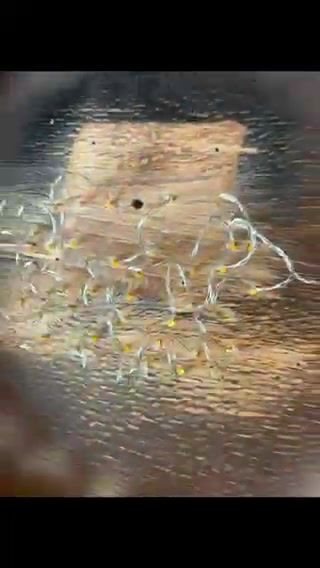 Thumbnail: Karmic Love