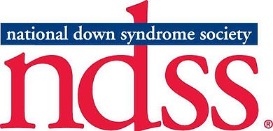 NDSS logo