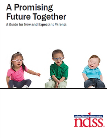 985ce2_a58ce00d7478466a9241533485aef679.