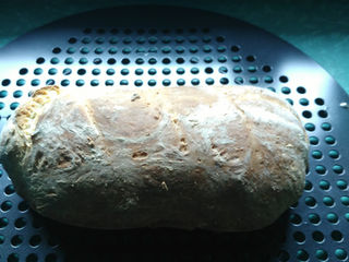Homemade Fresh Bread