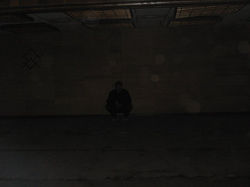 evp session