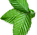 Cluster of Leaves _edited.png