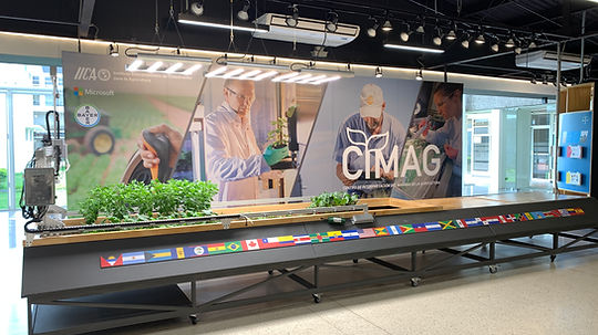 CIMAG