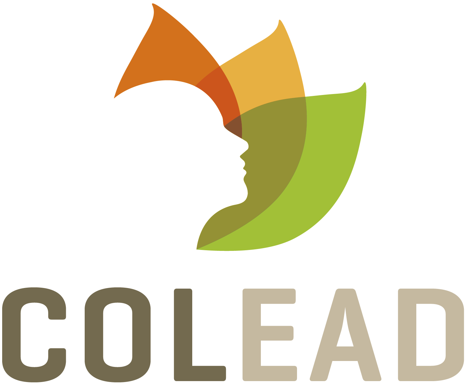 LOGO COLEAD.png