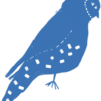 búho