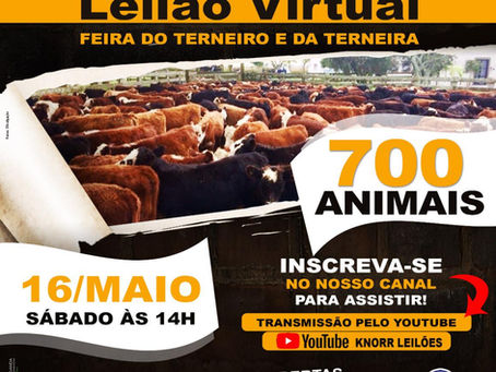 Feira do Terneiro e da Terneira - Curitibanos SC ao vivo
