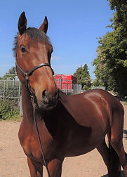 Equitrade image.jpg