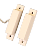 MSWRD wo bg.png