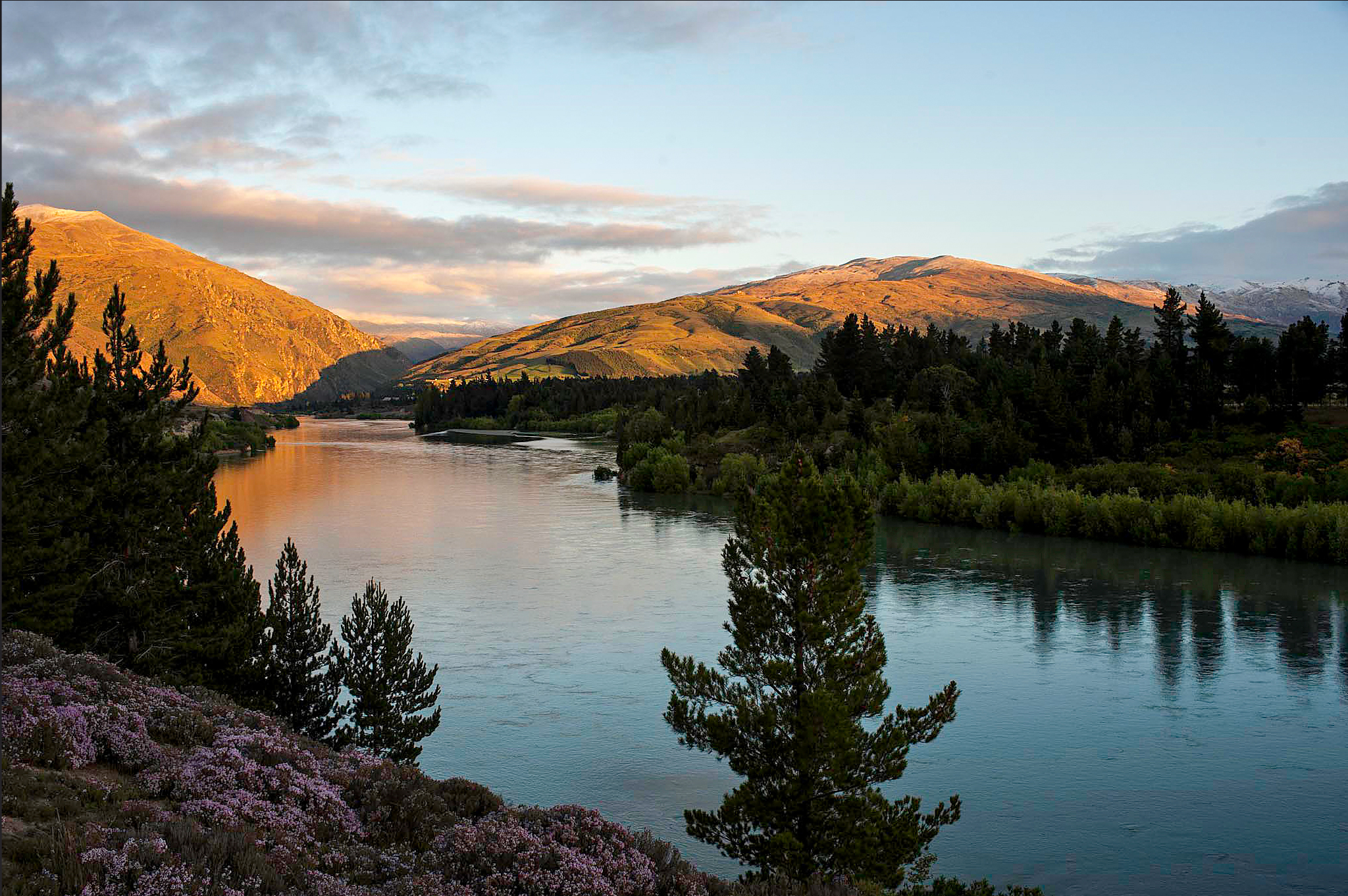 New Zealand