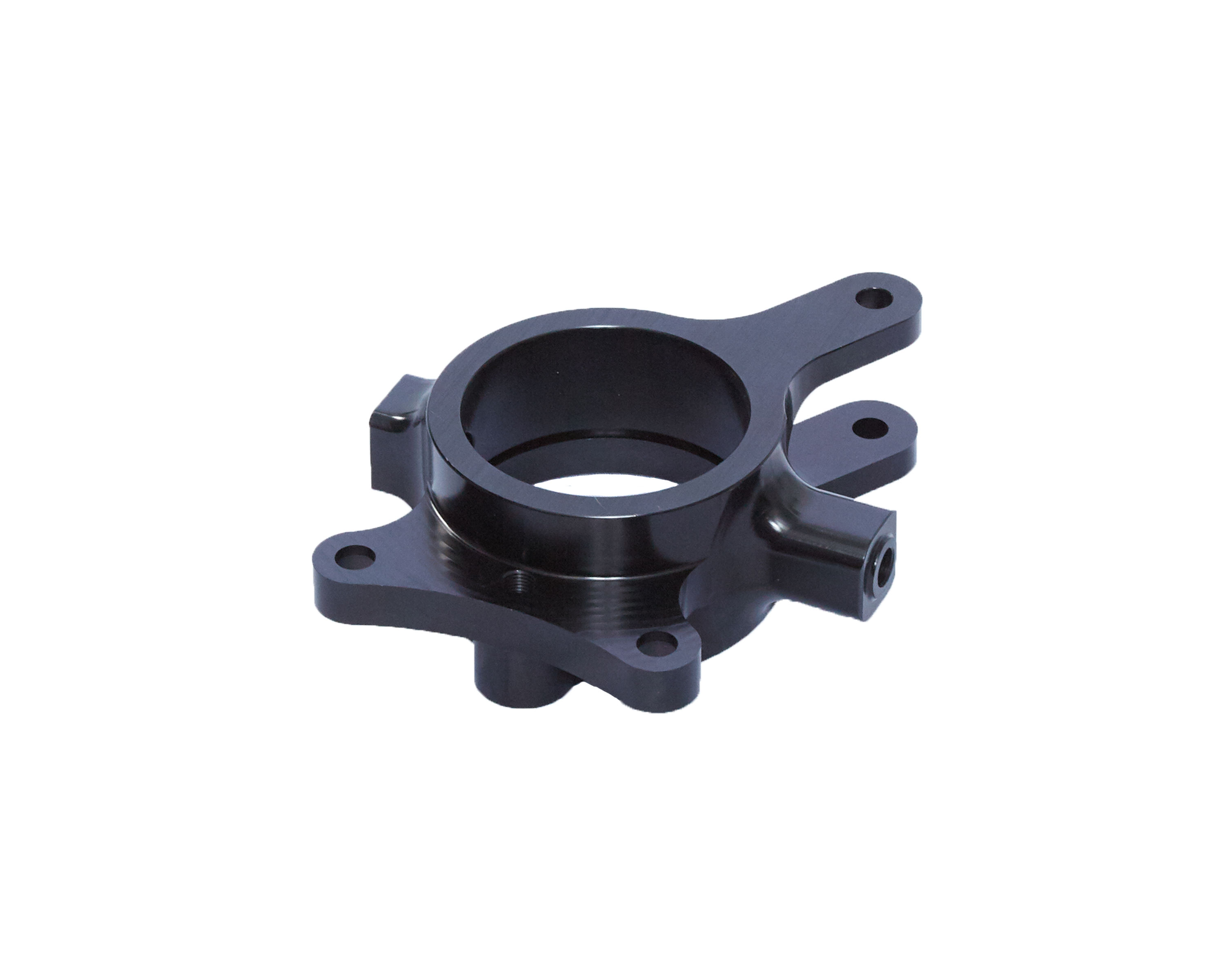 Right Rear Wishbone Birdcage With Outboard Brake