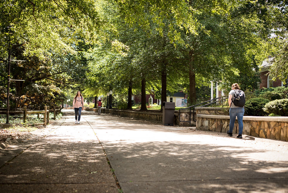 Campus promenade