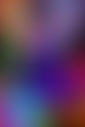 Holiday Health For Your Inner Peace