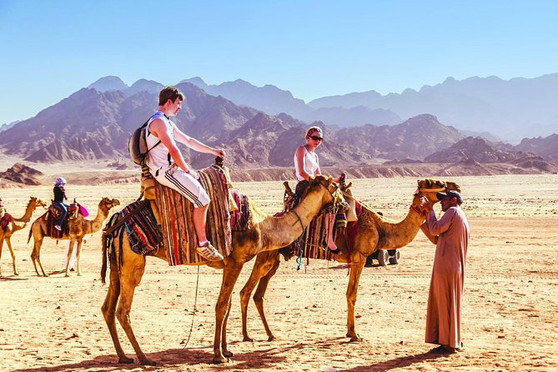 Camel Rides