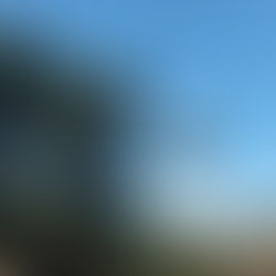 Back to Efteling: Fairytales, Phantoms and a Touch of the Macabre