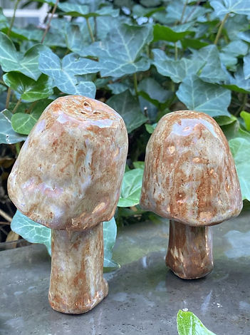 Two ceramic mushroom-shaped shakers, one upright and one lying down, placed on stone with leafy green plants behind.
