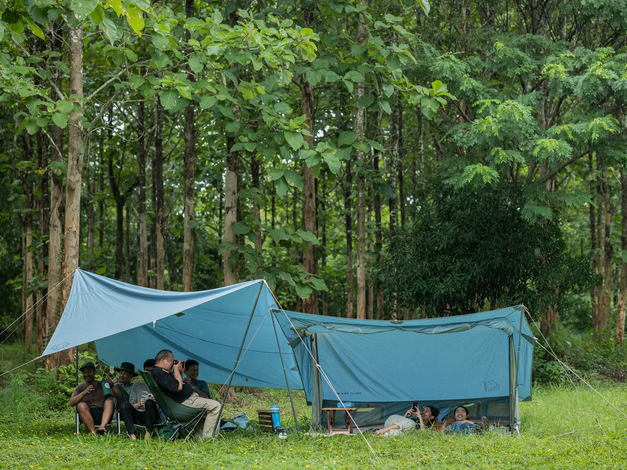 Nordisk Kari Tarp - Natural