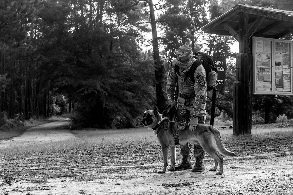 Wolfpack Strategic Solutions: Home | MISSION OVERSIGHT - Soldier in Uniform with Working K9 Military Working Dog