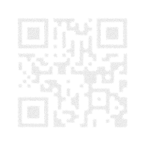 segfault_qr_edited.png