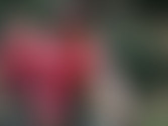 Richard Carapaz abandona la última etapa de la Itzulia Basque Country.