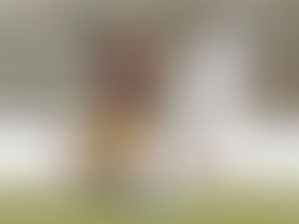 Jugadores con pasado en Deportes Tolima y Tigre