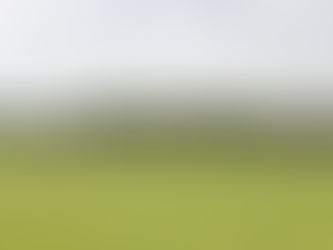 Informe médico del Club Pijao