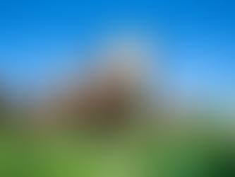 Gamma oryzanol supports cattle muscle development and health for optimal performance.