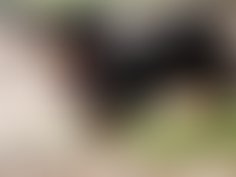 Pet joint support supplement considerations: ingredients, dosage, veterinarian consultation, pet age, and existing conditions