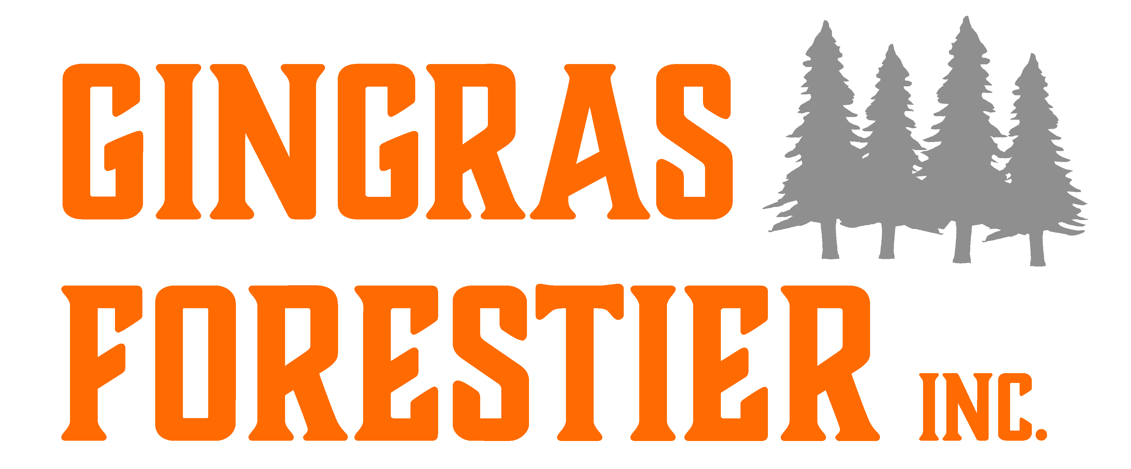 logo pas de fond.gif