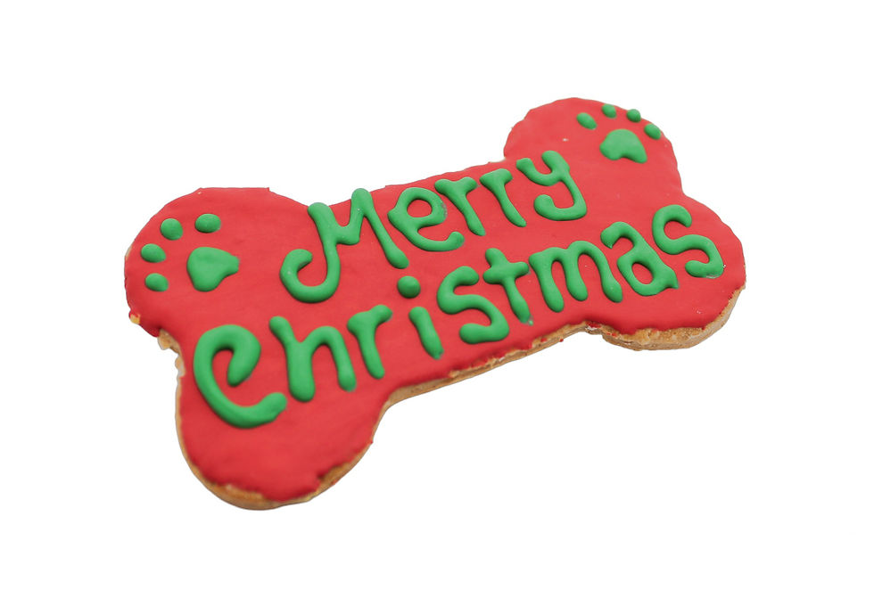 Thumbnail: XL Single Christmas