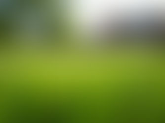 Effective Pine Bluff Lawn Care Tips for a Healthy Yard