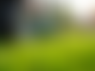 Why You Should Hire Local Lawn Care Services for Affordable Lawn Maintenance