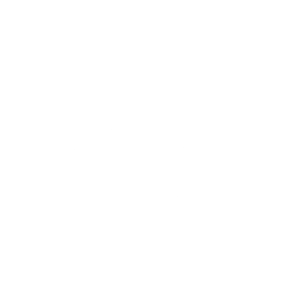 Prime Video Logo