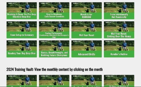 video-vault-ss.gif