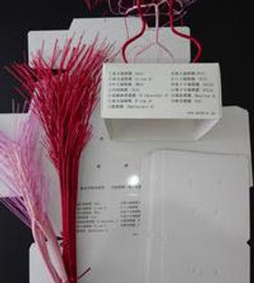 脳血管模型キット | 株式会社メデタ