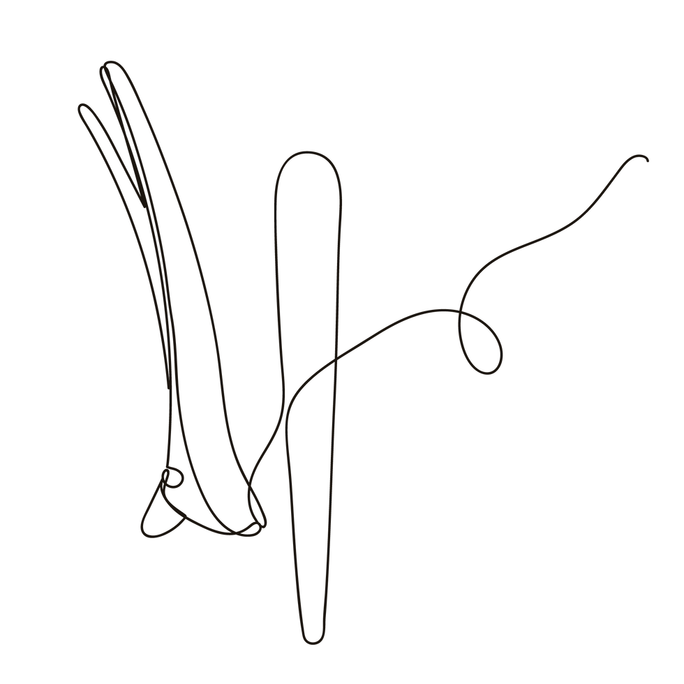 Minimal beauty tools illustration representing hair, skin, and wellness services