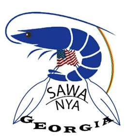Sawa_Nya_Georgia.jpg